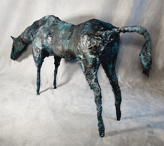 Equus