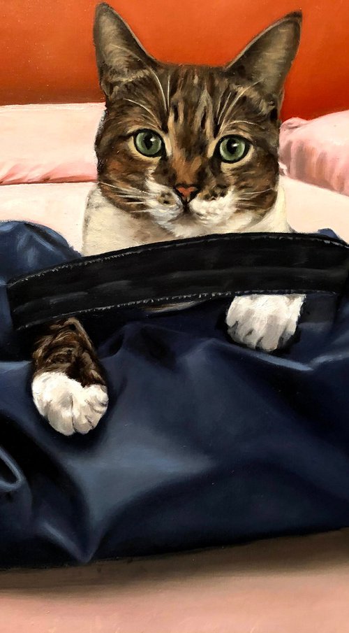 The stowaway by Angelo Di Carlo
