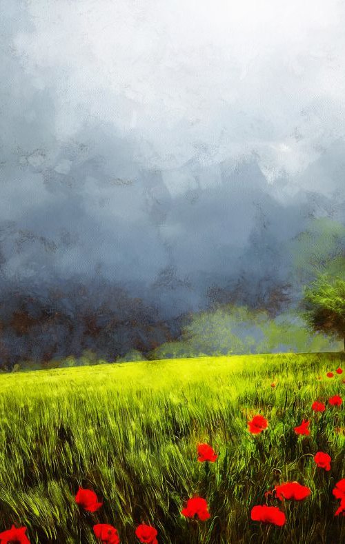 Poppies by Alistair Wells