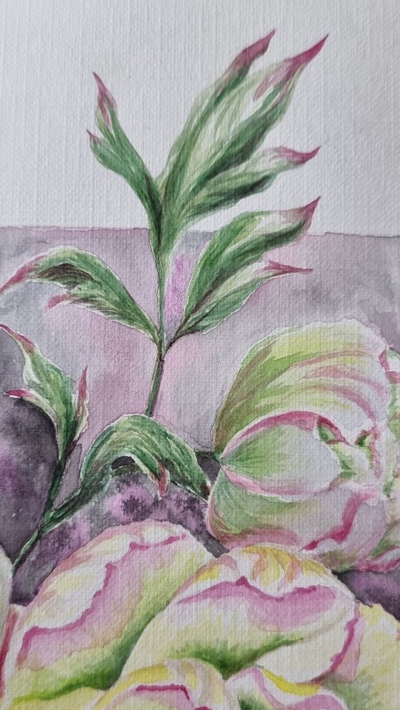 Watercolor peony - a cozy painting - botanical bright accents with white flower - 21х29.5 cm