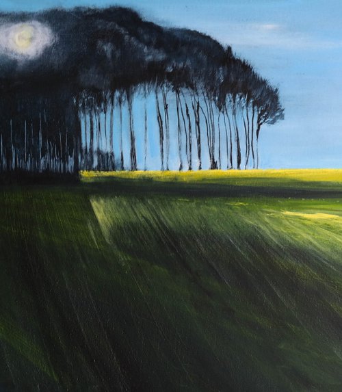 Sun rising  - Fields and Shadows Series by Danijela Dan