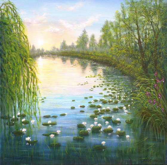Serene lily pond