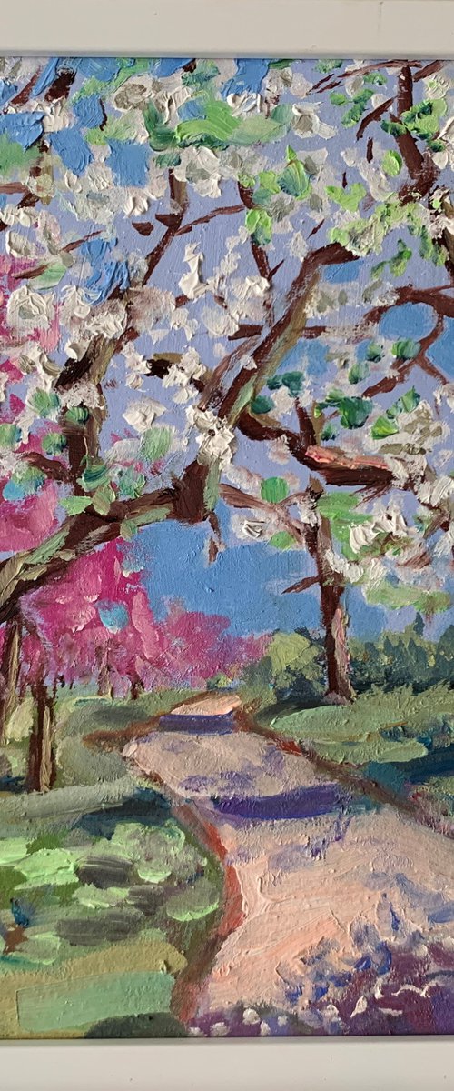 Cherry blossom. by Vita Schagen