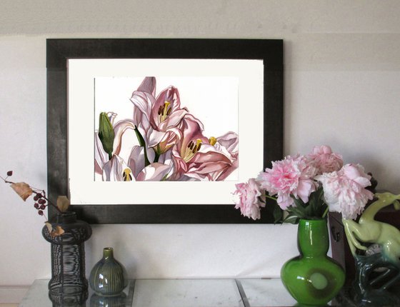 pink lilies watercolor floral