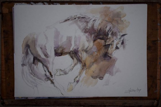 Running  horse study 7