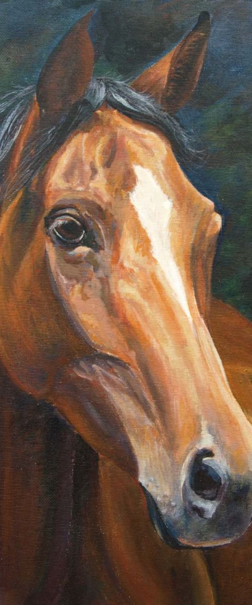 Chestnut by Ruth  Aslett