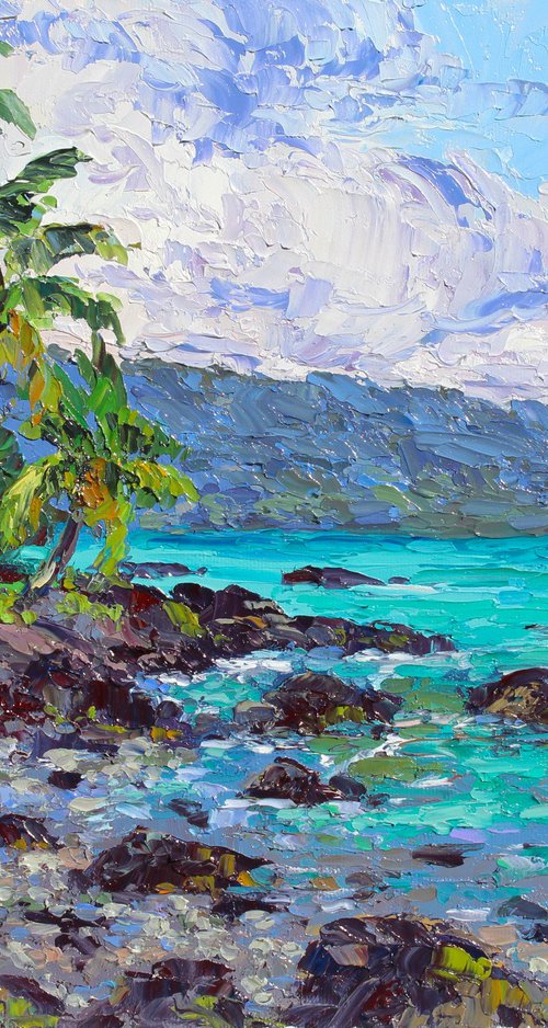 Lava Rock Beach Cove by Kristen Olson Stone