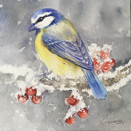 Blue Tit and Winterberries by Arti Chauhan