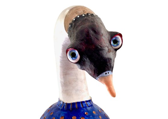 The blue goose