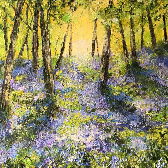 Bluebells no2