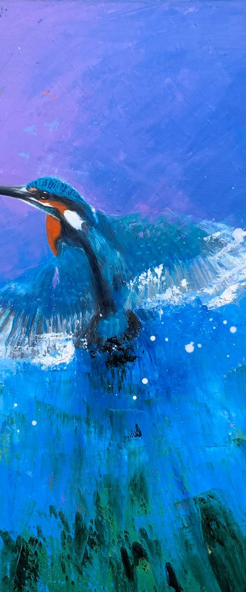 Kingfisher Rising by Laure Bury