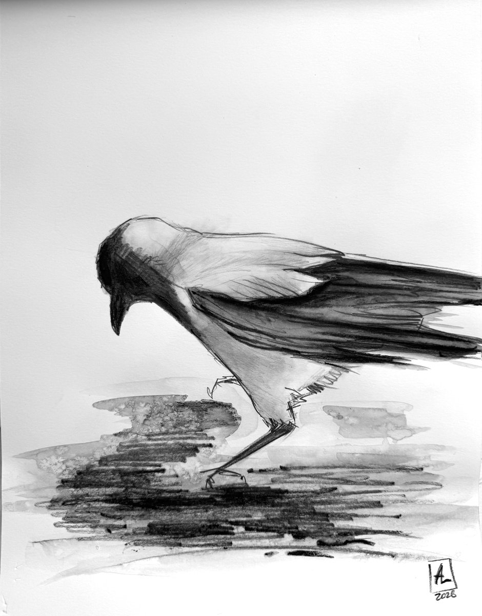 Impressionistic Pencil Drawing , One Crow Adventures I By Anna Lyashenko, 8 X 11, Artwork For Sale On Artfinder