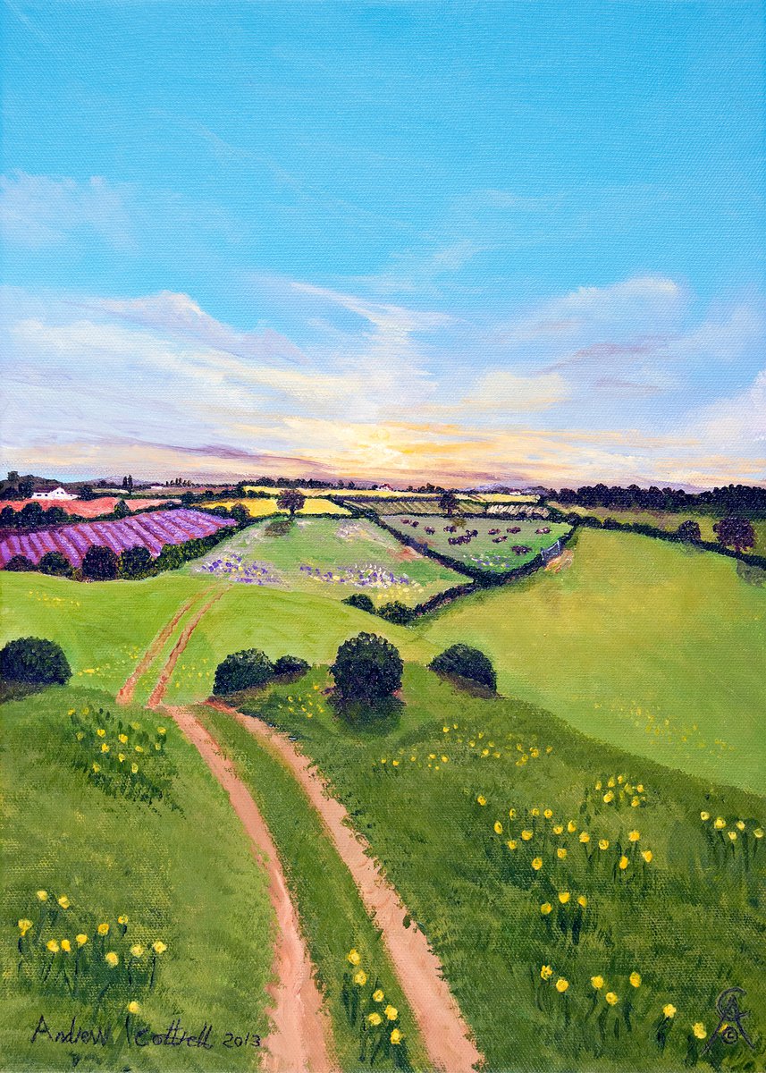 Buttercup Lane by Andrew Cottrell
