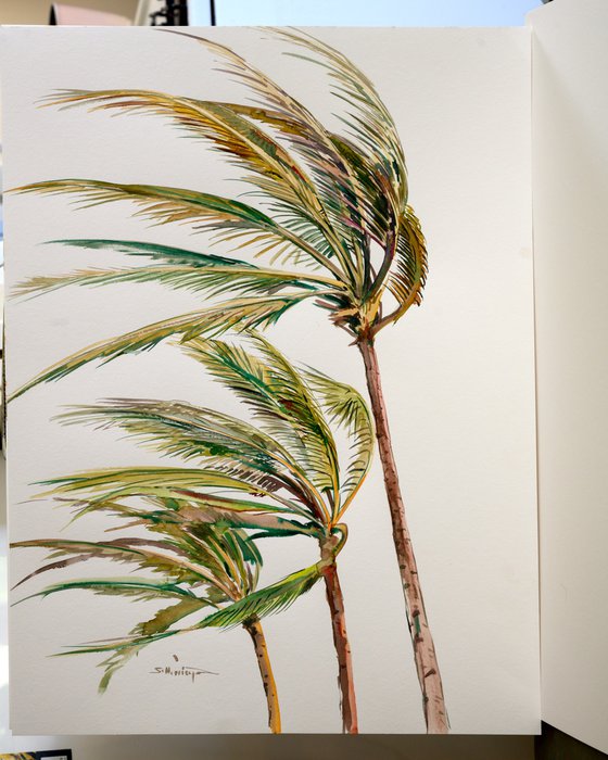 Wind. coconut palms