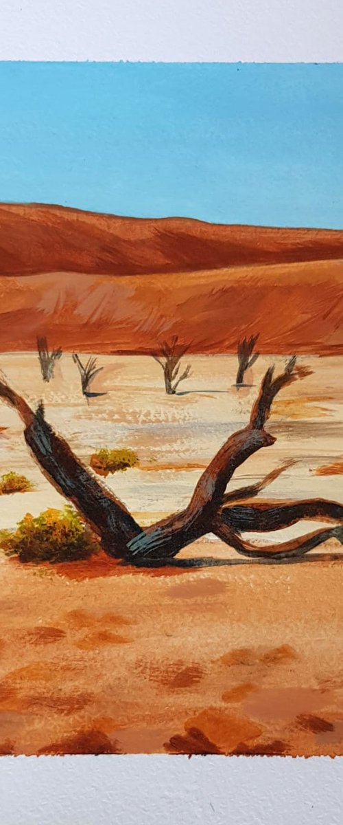 Desert Acacia by Daria Startseva