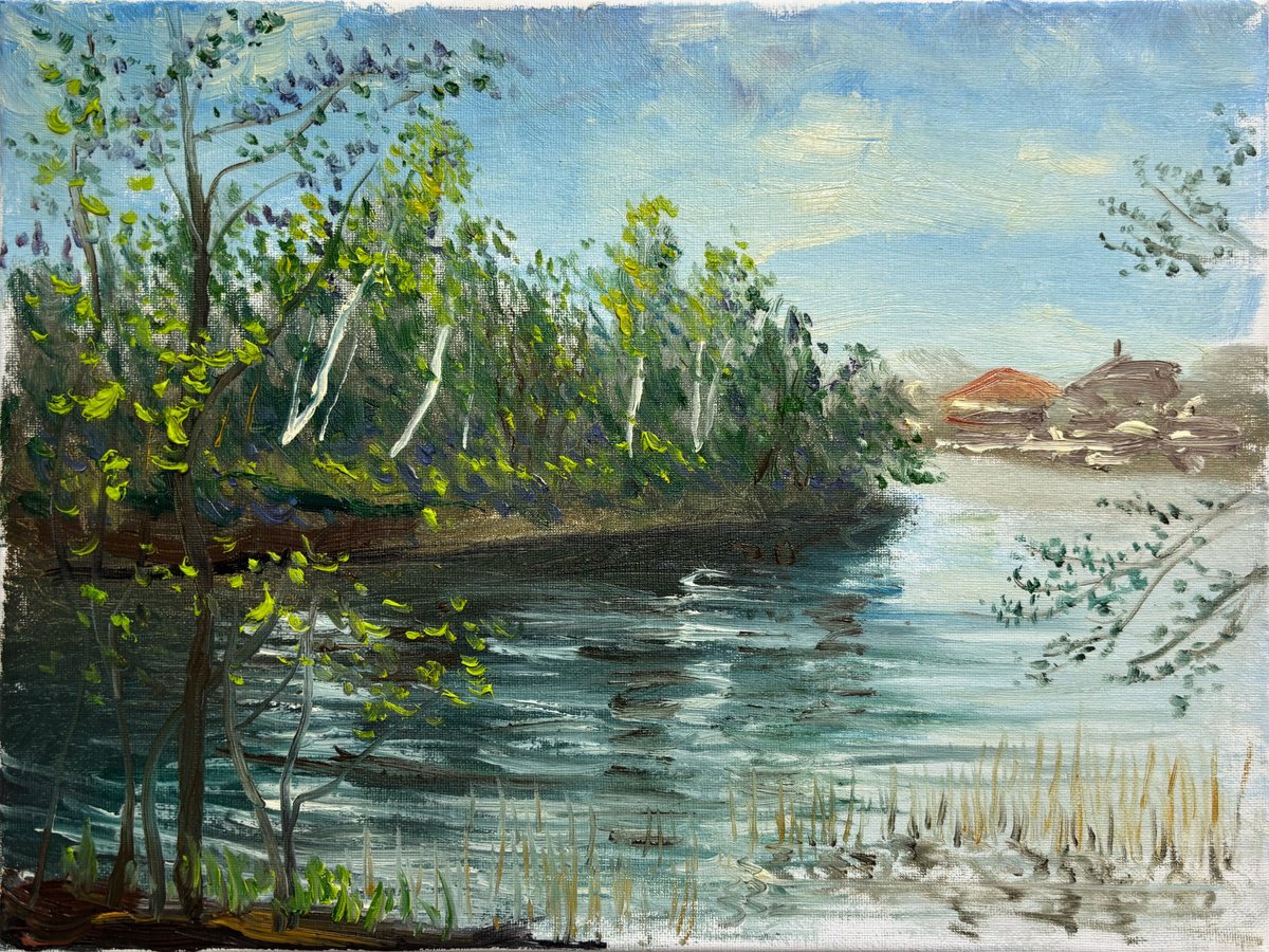 Impressionistic Landscape Oil Painting By Dmitry Fedorov, 16 X 12, Birch Trees On The Lake, Original Artwork