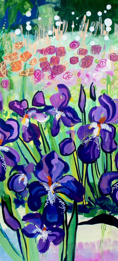 Iris Border by Julia Rigby