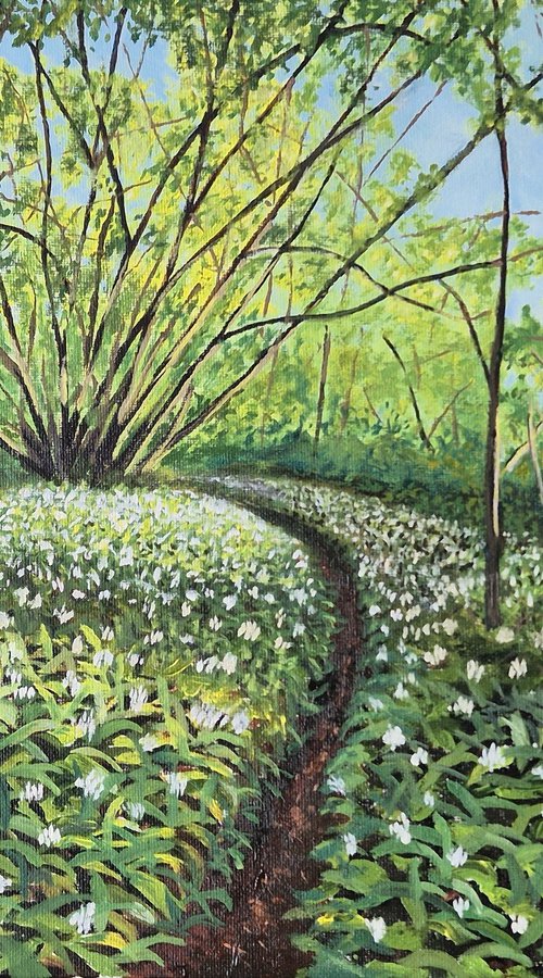 Wild Garlic in a Sussex Woodland by Chris Marshall