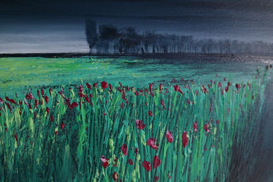 Poppies  - Fields and Colors Series