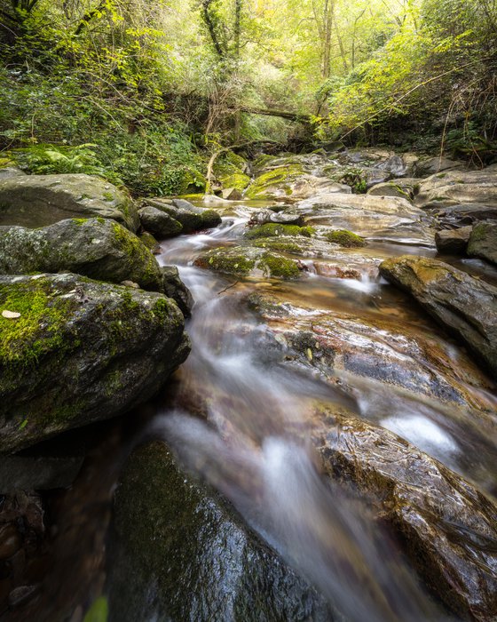 HIDDEN SOURCES - Photographic Print on 10mm Rigid Support