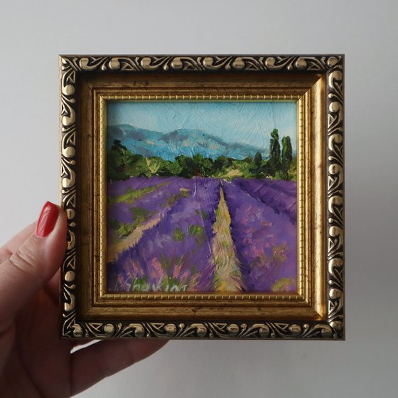 Lavender Fields Set