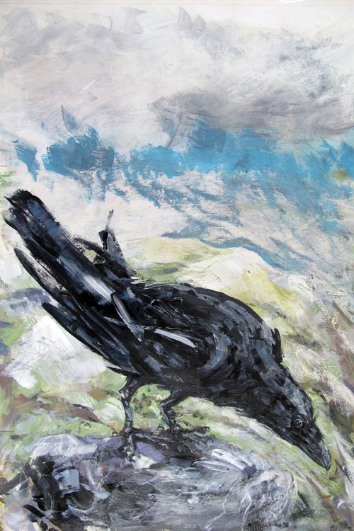 Raven, Fairfield, Cumbria by John Sharp