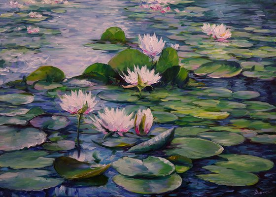 "Water Lilies"