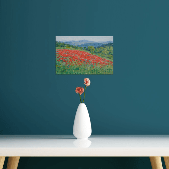 Field of poppies in Tuscany