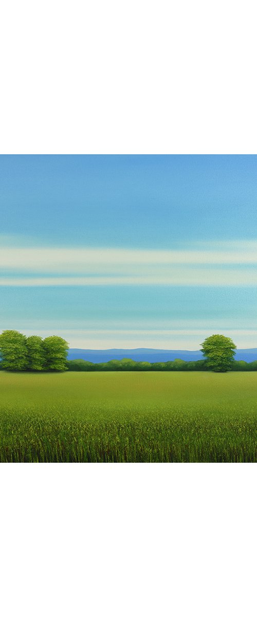 Summer Field - Blue Sky by Suzanne Vaughan