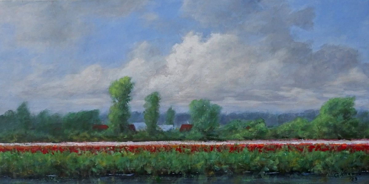 Fields with tulips by Gerard Kramer