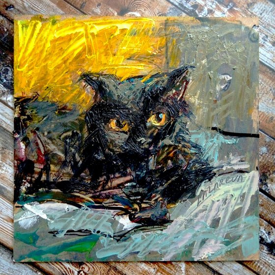 Black cat #1