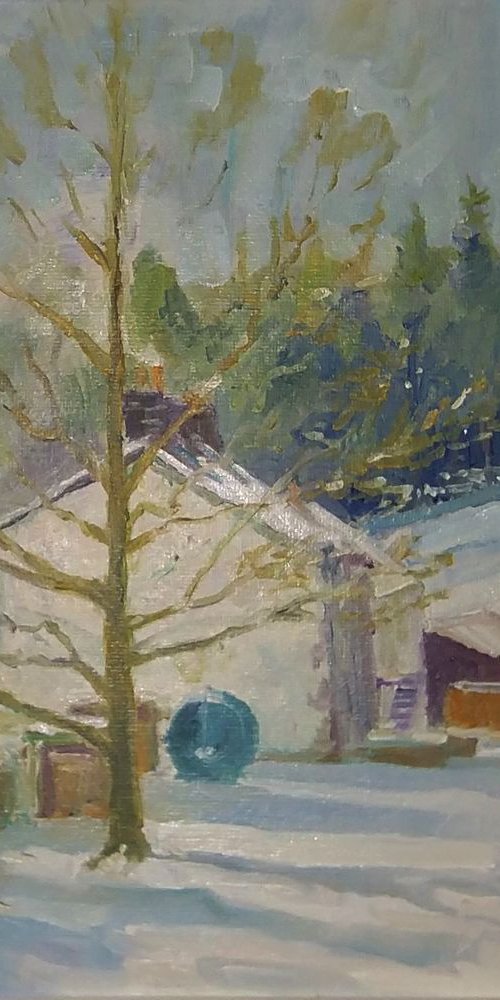 The cottages in winter by Damian Gerard Bland