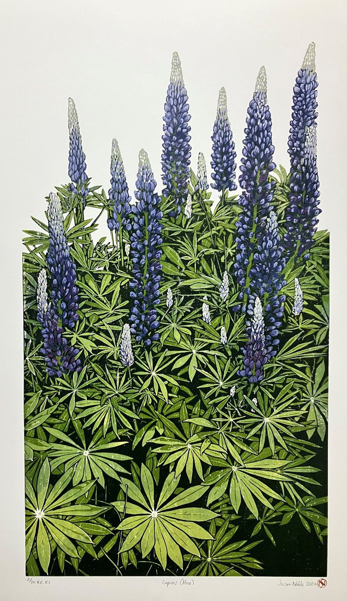 Lupins (blue) by Susan Noble