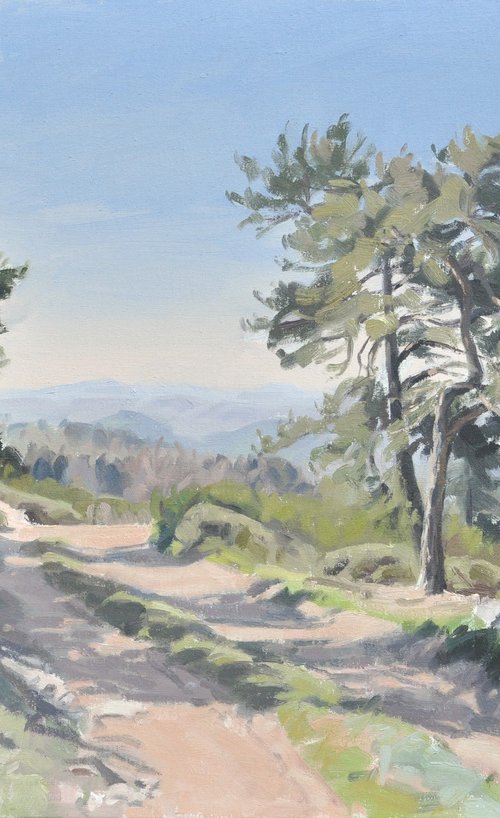 Path to Chaspinhac by ANNE BAUDEQUIN