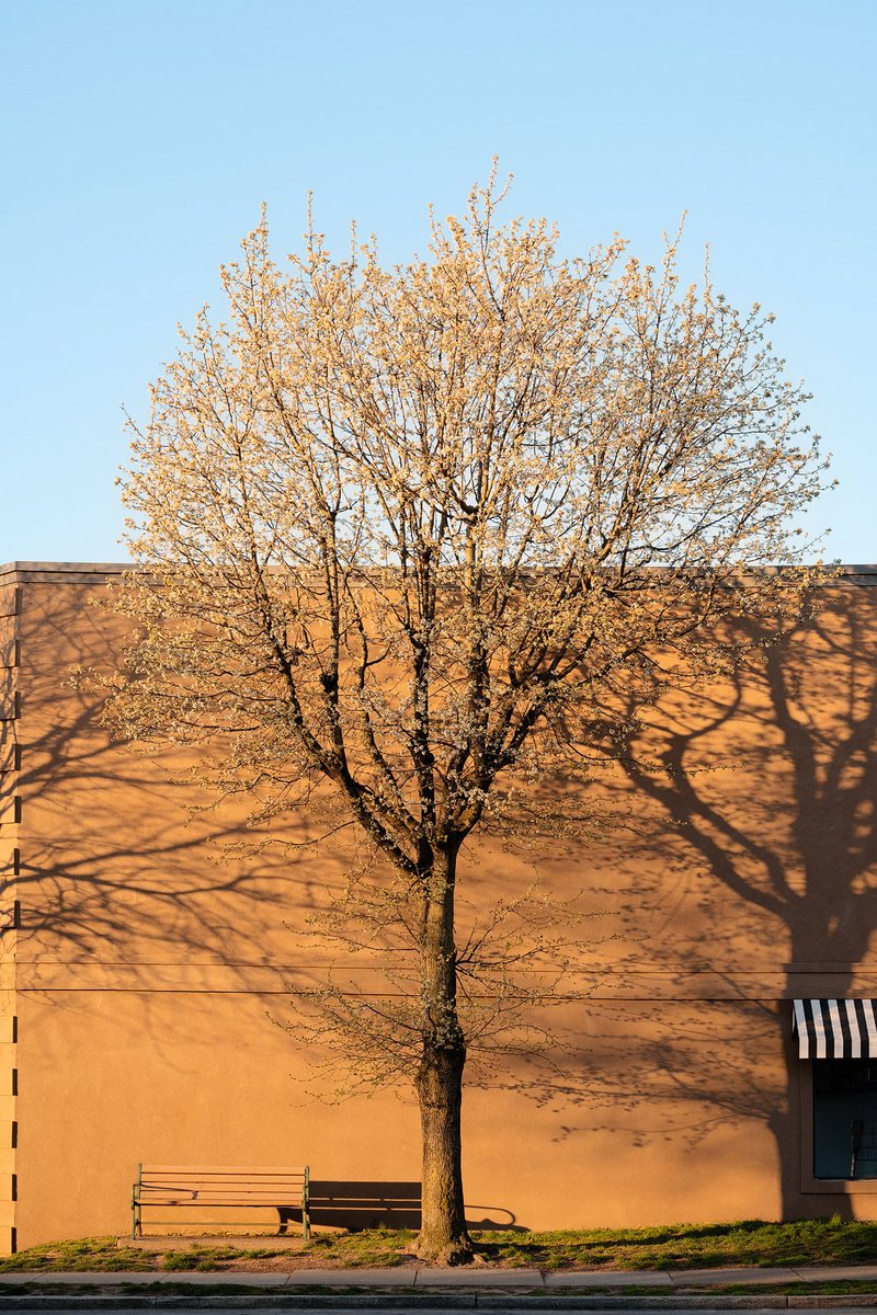 Impressionistic Cityscapes Photograph By Journey Gong, 17 X 25", Shine On, Original Artwork