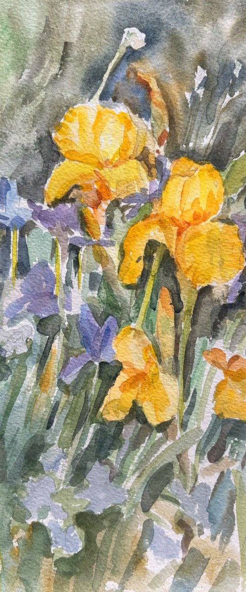 Irises by Elena Lykhodid