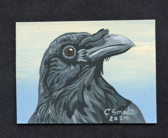 Crow Raven