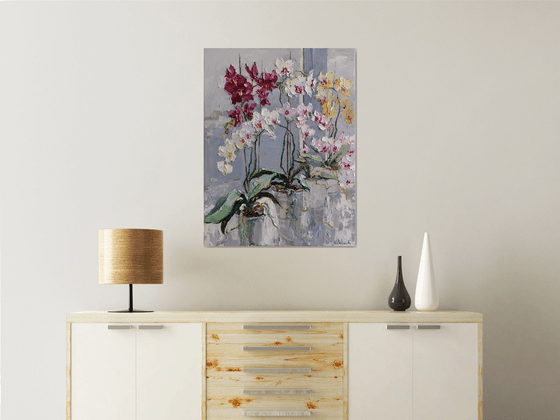 Blooming Colorful Orchids