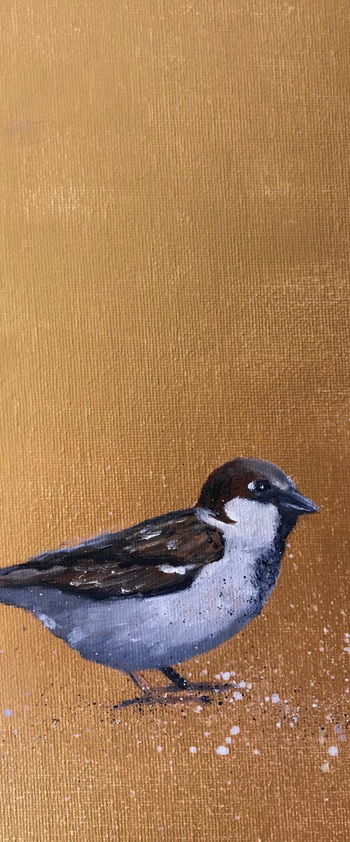 Garden Sparrow on Gold by Laure Bury