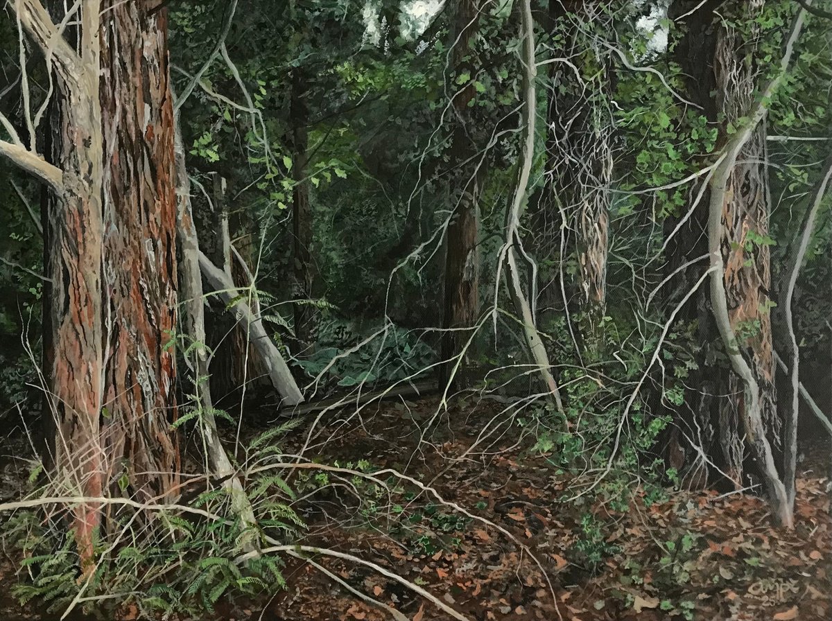 Into The Woods By Alastair Paynter, 24 X 18, Artwork For Sale On Artfinder