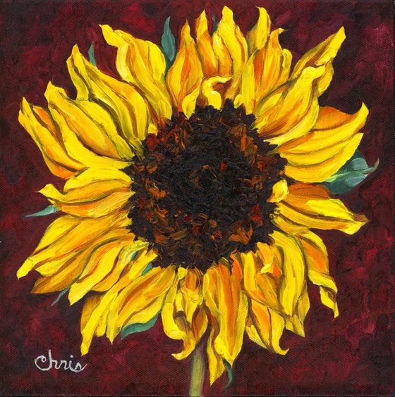 Sunflower on Burgundy