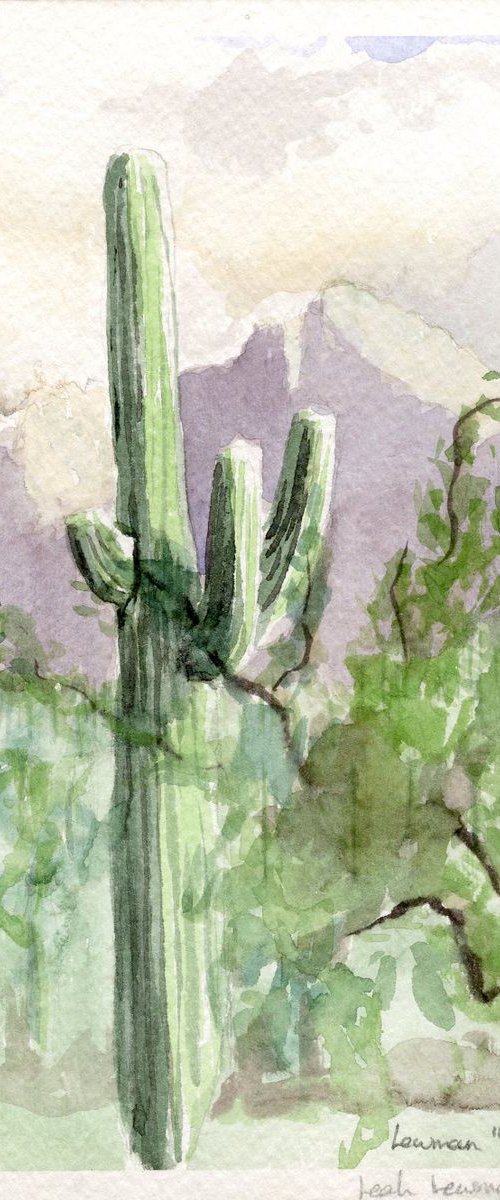 Saguaro at Sunrise - 11/16/14 by Leah Lewman Laird