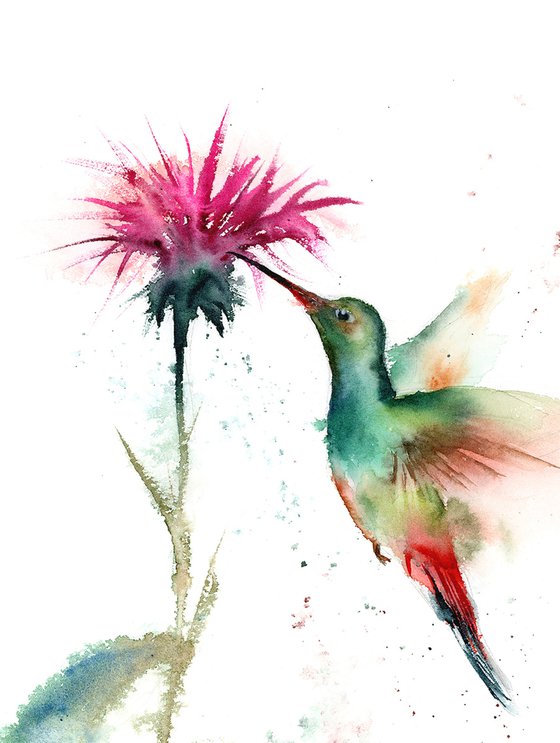 Hummingbird and Flower - watercolor painting