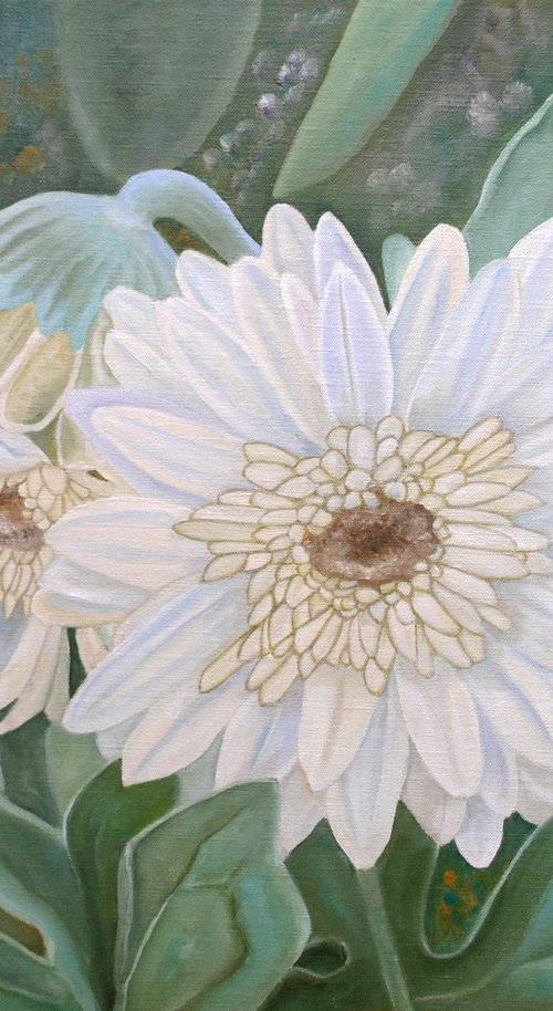 White Gerbera by Angeles M. Pomata