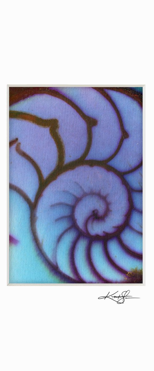 Nautilus Shell 602 by Kathy Morton Stanion