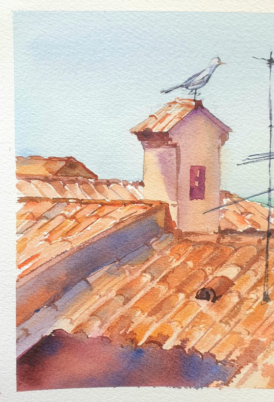 Mediterranean roofs