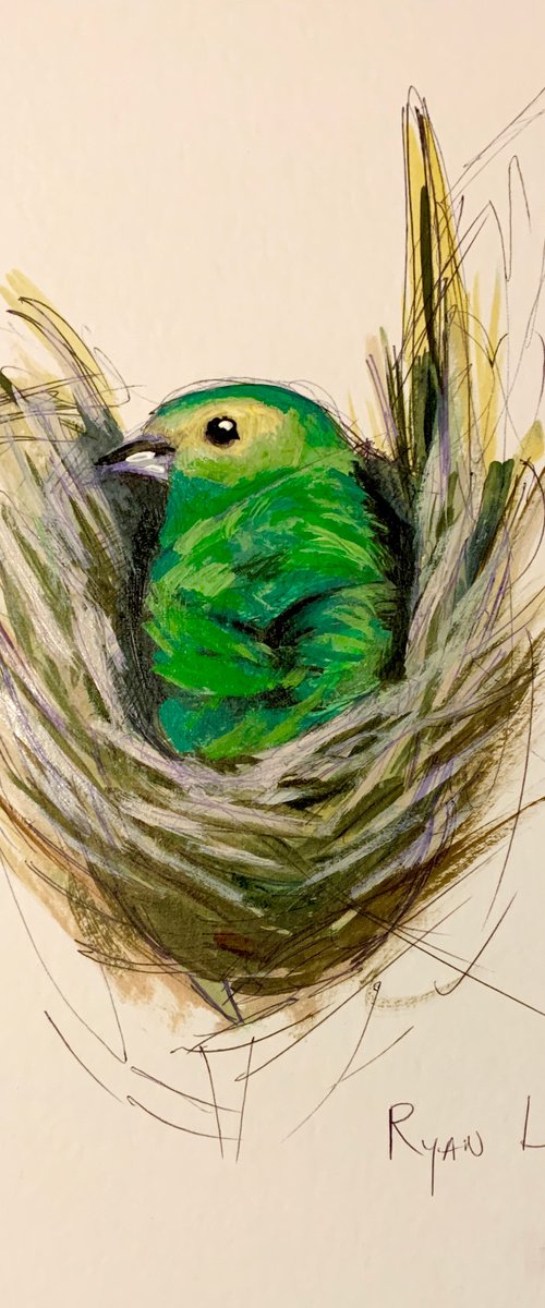 Bird Nesting by Ryan  Louder