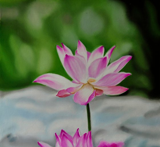 Water lilies II
