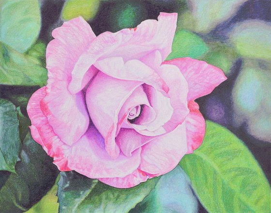 Soft Bloom
