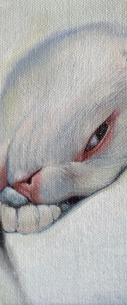 Cat Portrait by Anastasia Parfilo